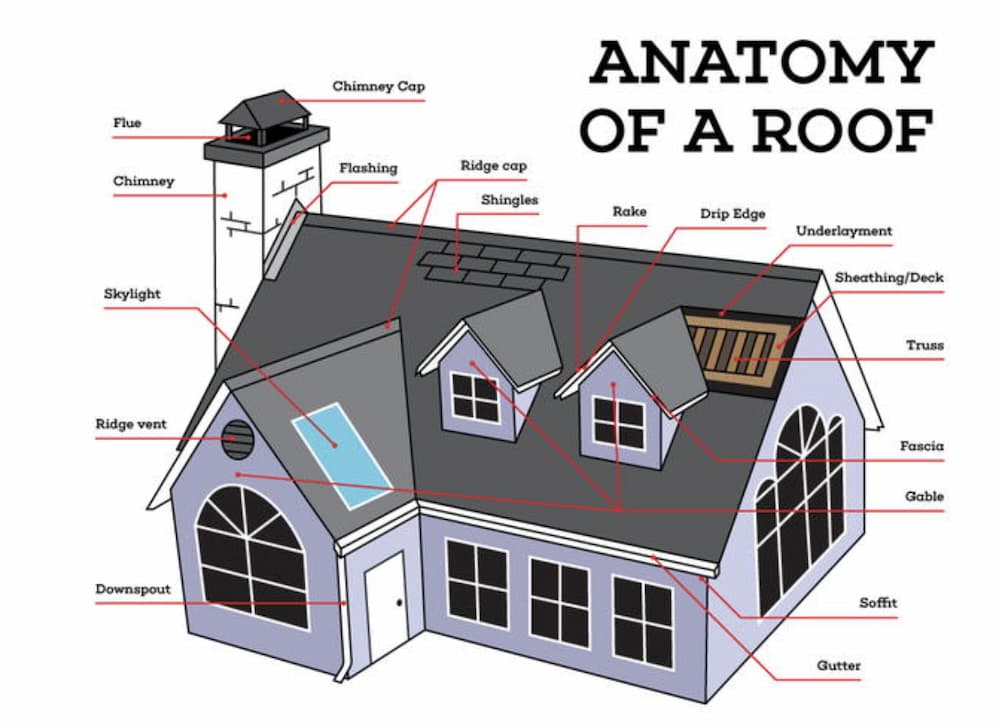Everything that a roof is composed of
