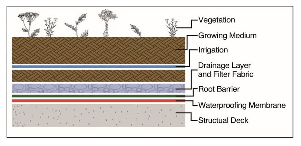 Diagram showing the different levels of a green roof