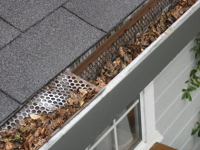 spring in durham region clogs gutters