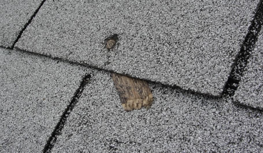 One of many roof maintenance tips is to fix popped nails