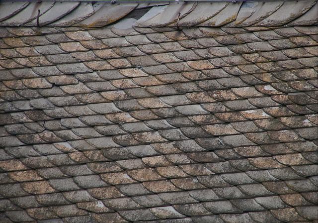 checking for damage on your roof as part of your spring roof maintenance