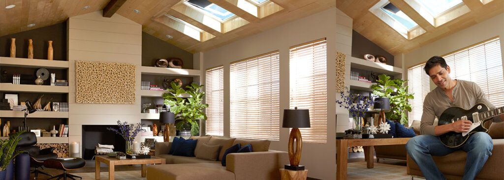 living room skylight vs. sun tunnel 