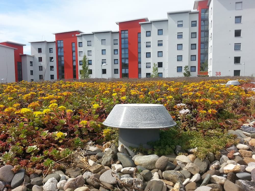 red and white flat roof condos