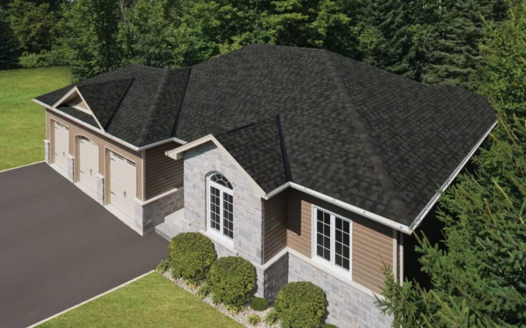 dynasty shingle from aerial view
