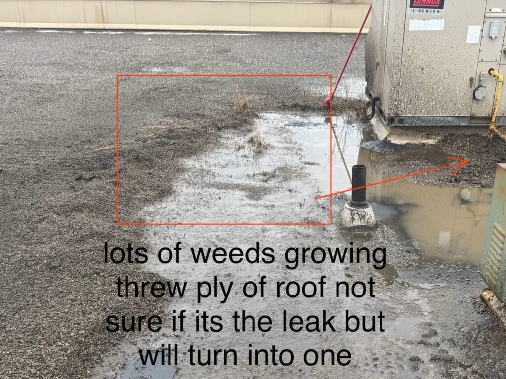 Common Flat Roof Problems We Repair