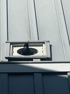 What Happens Without Proper Roof Ventilation